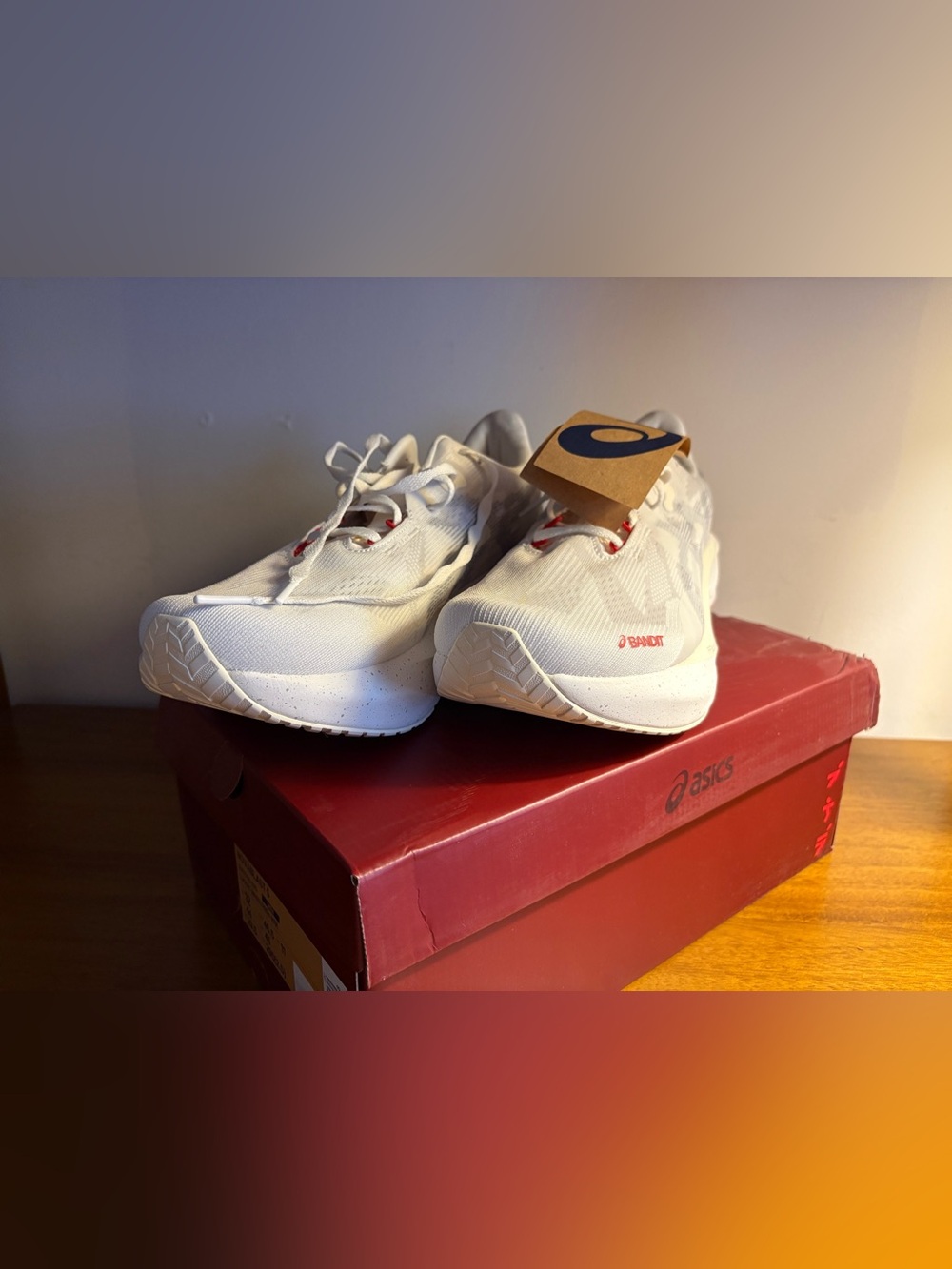BRAND NEW Asics x Bandit Novablast 5